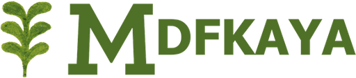 vnmdfkaya.com Logo